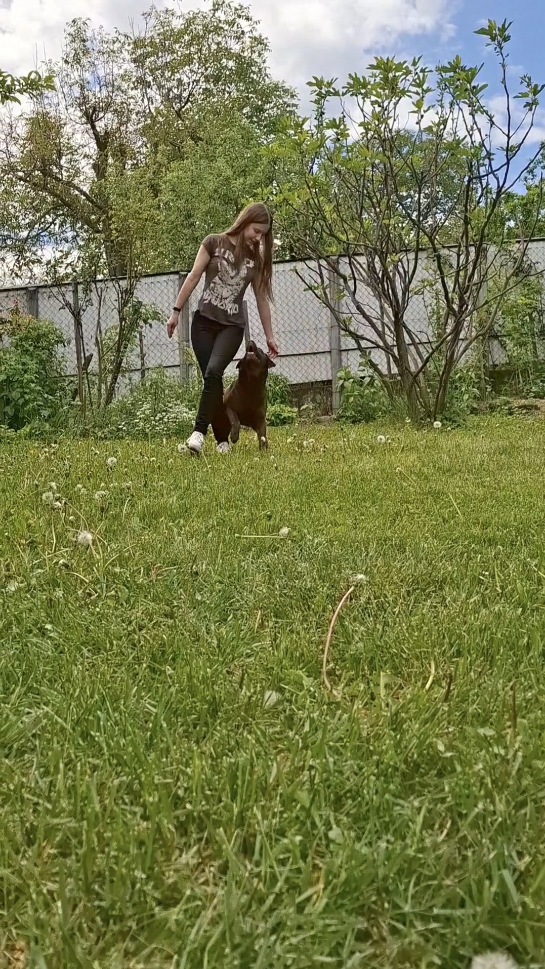 Egy kertben oldalazunk éppen Mokkával.