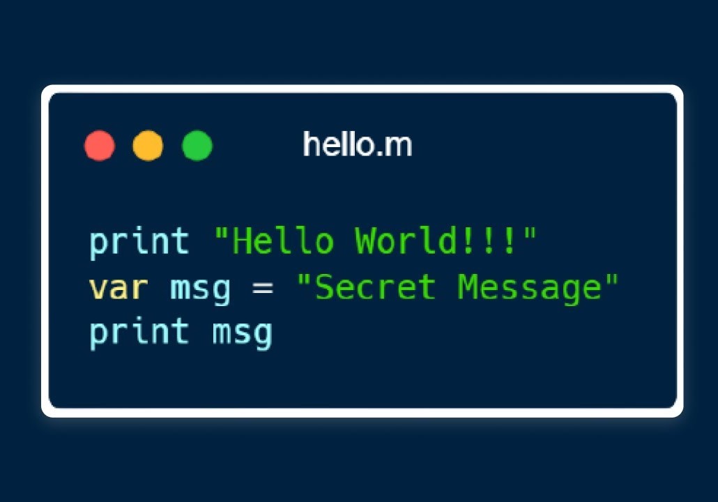 picture of the programming language im making