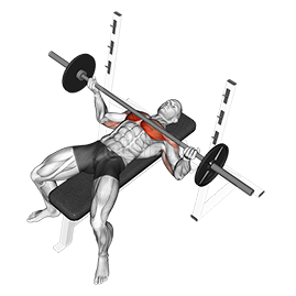 Bench Press