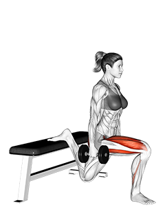 Bulgarian Squat