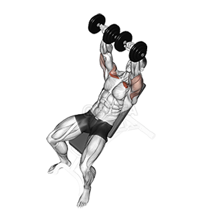 Incline Bench Press