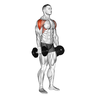 Lateral Raise