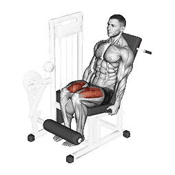 Leg Extension