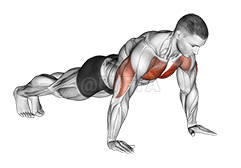 Push Up