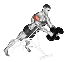 Rear Fly