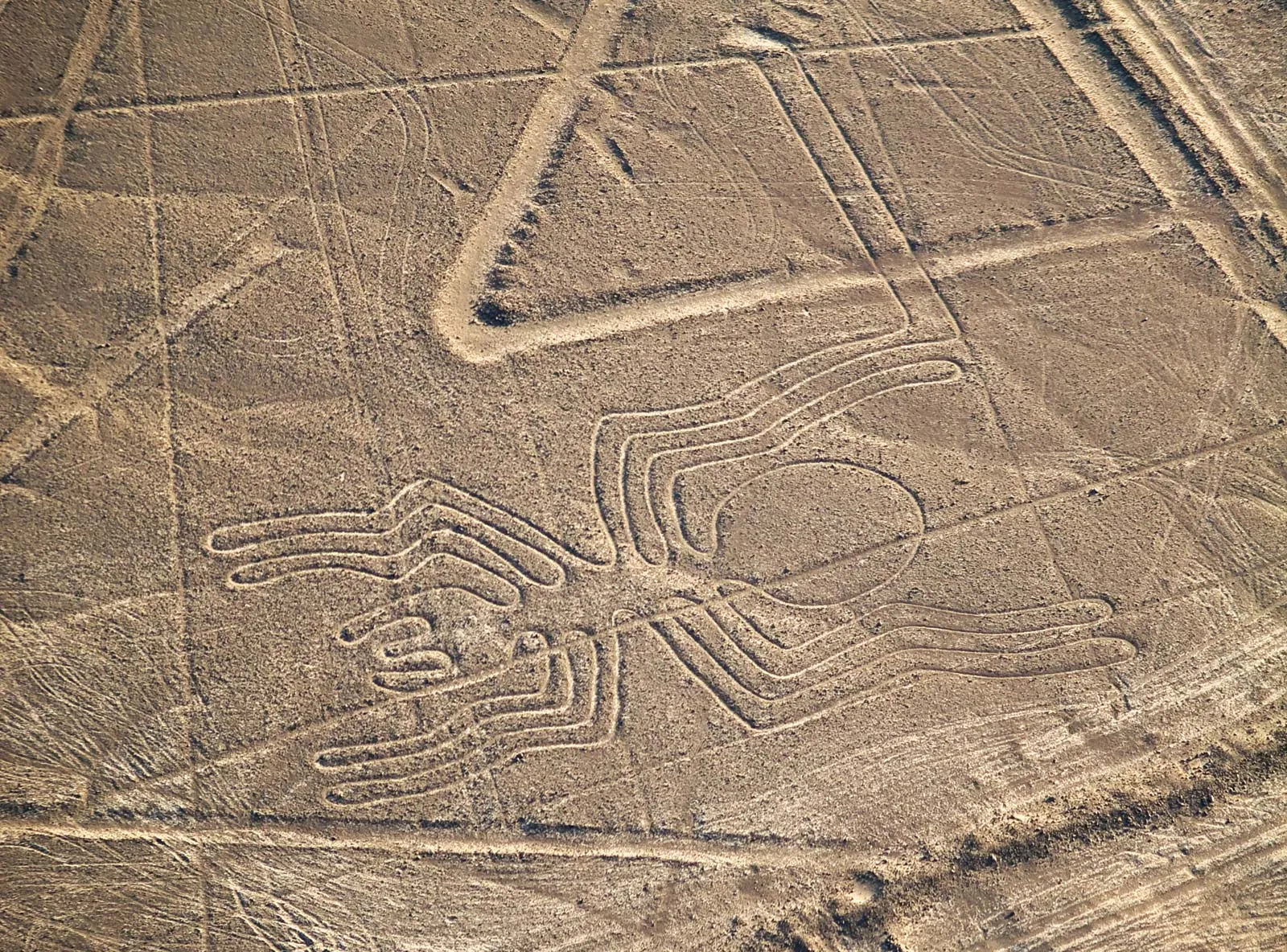Egy példa a Nazca-vonalakra