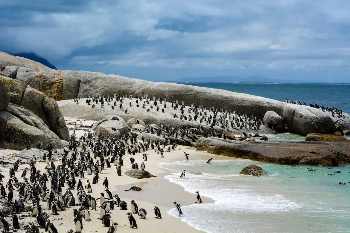 Cape Town with Table Mountain