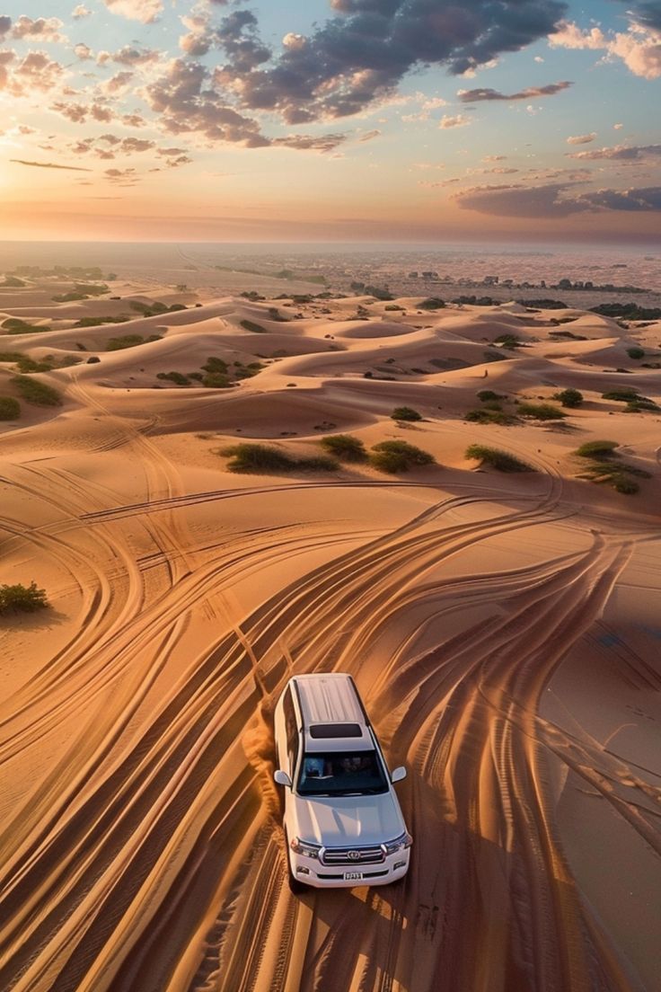 Dubai desert