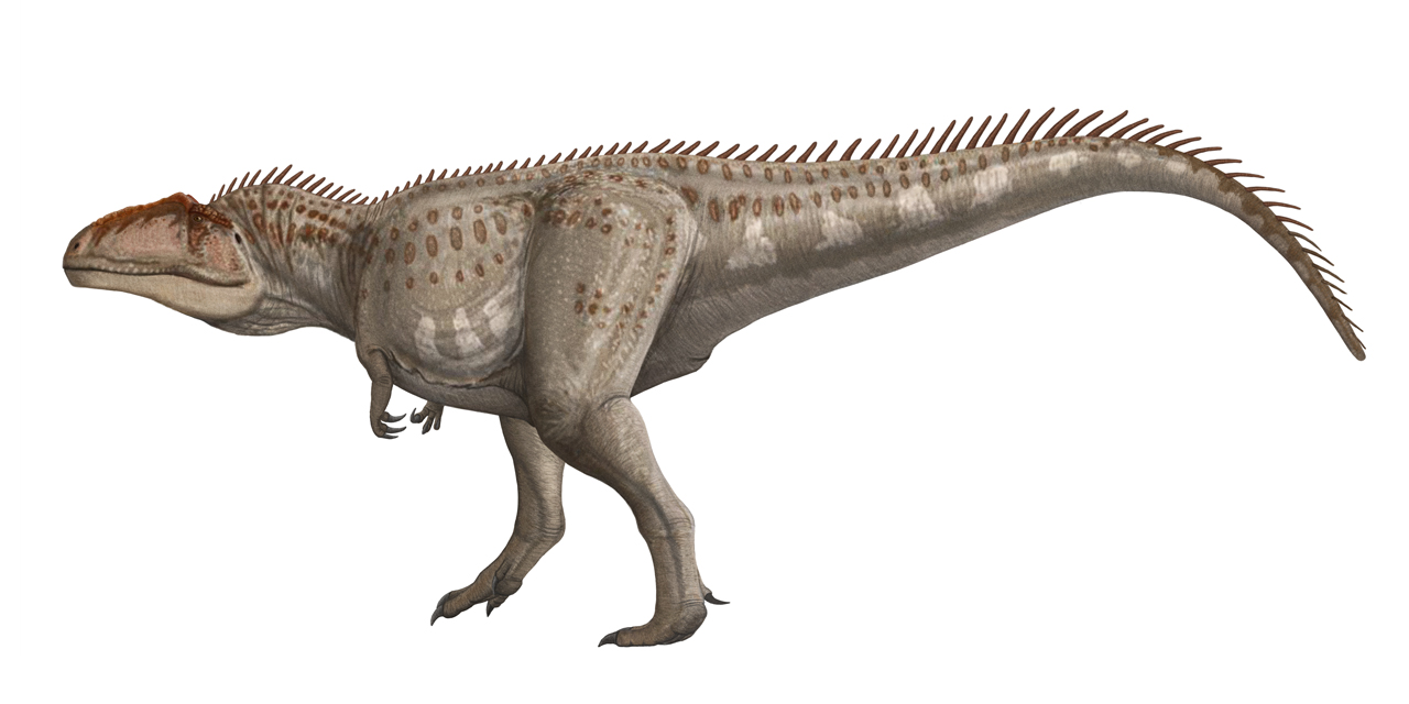 giga1