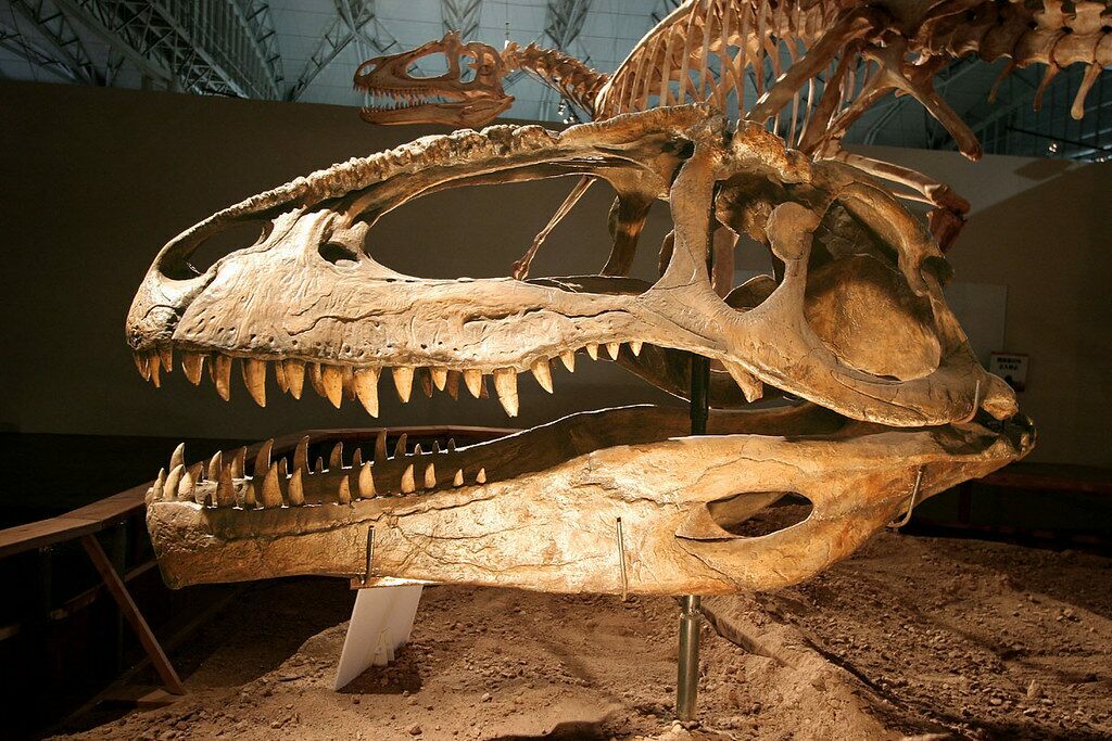 giga2