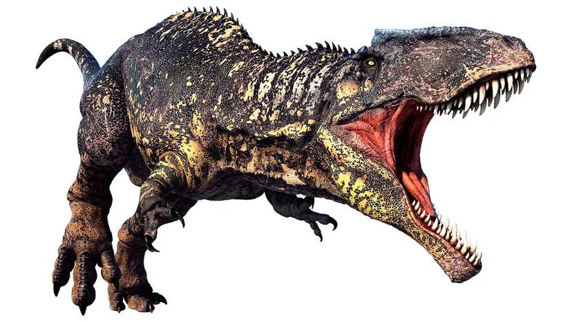 giga3