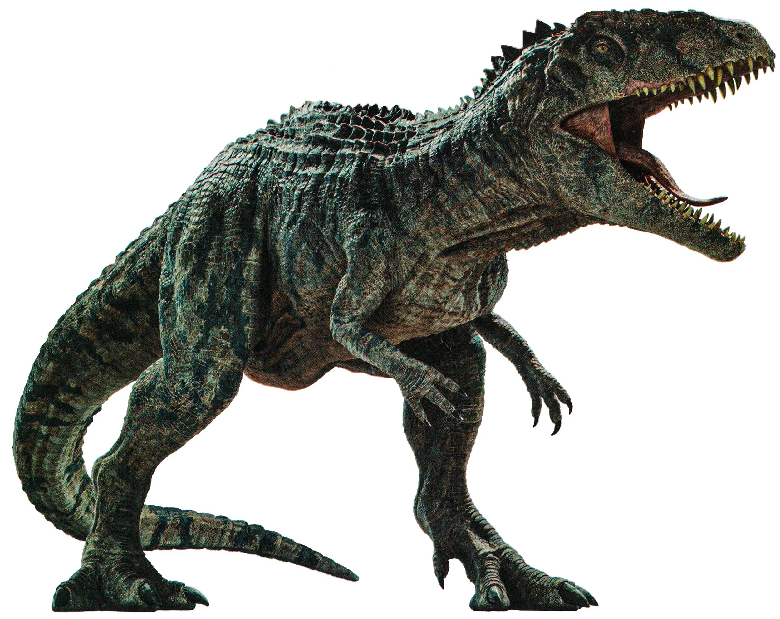 giga4