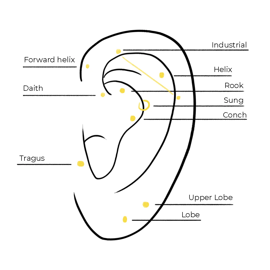 Piercing elhelyezések a fülön