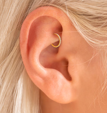 Rook