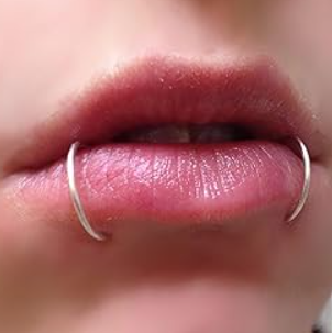Snake Bites