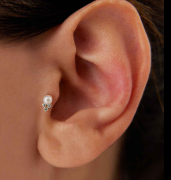 Tragus