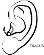 Tragus piercing