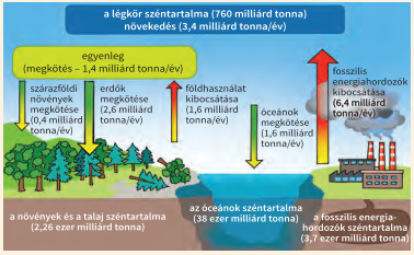 A szénforgalom