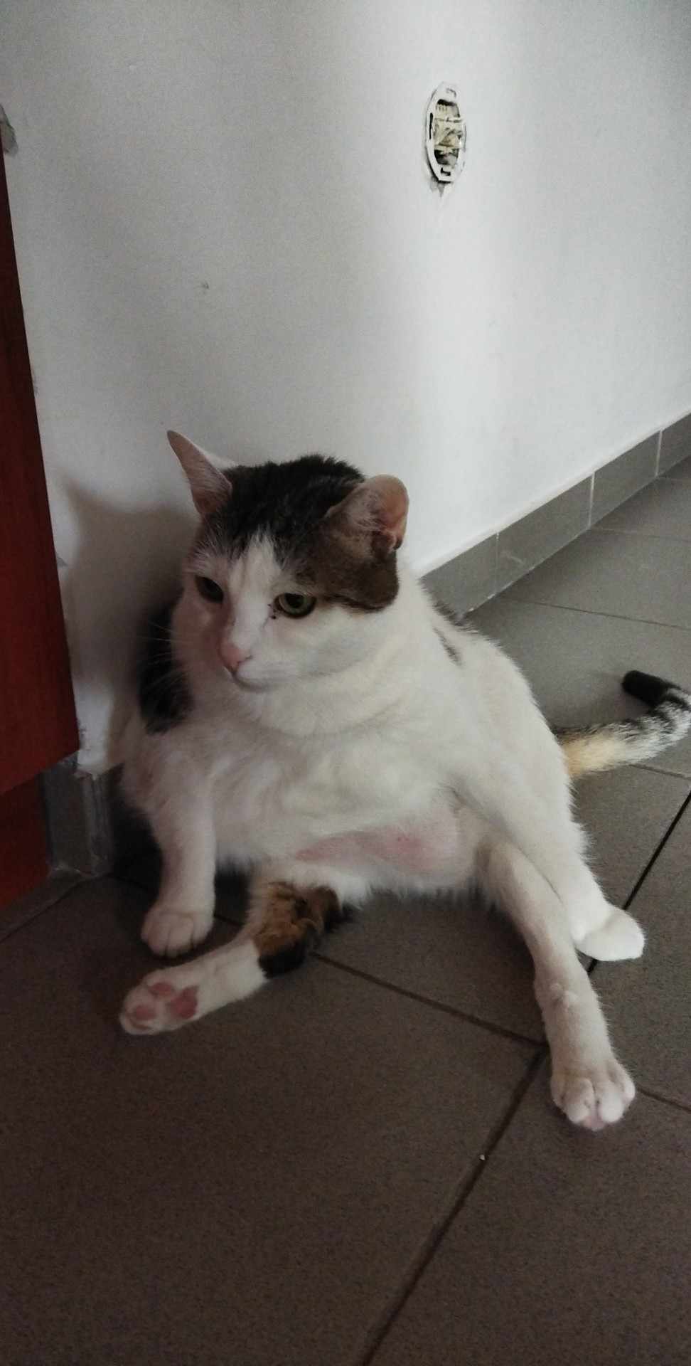 Vicces kép Jánosról, amin nagyon daginak tűnik.