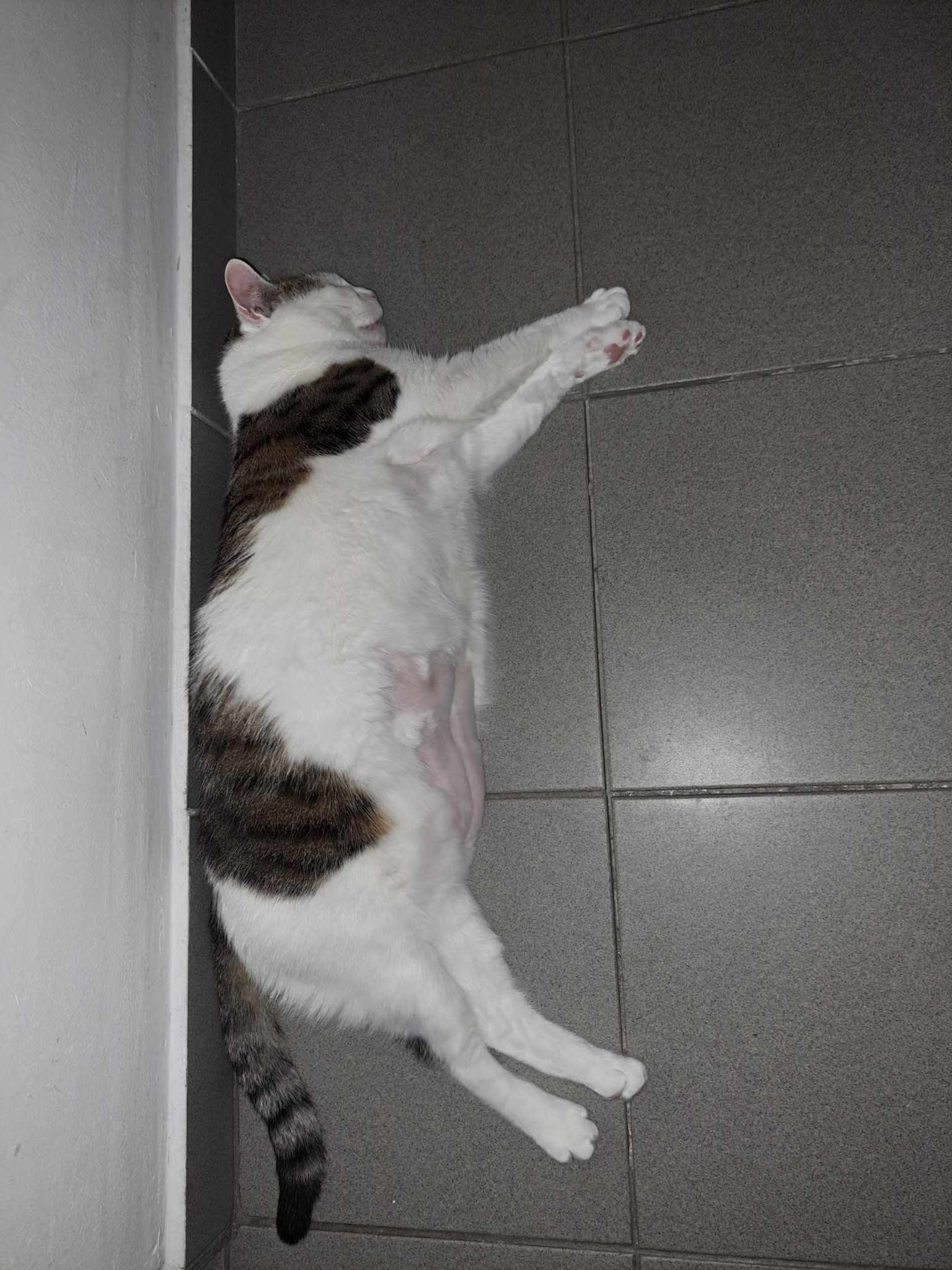 János a fűtéscső mellett fekszik.