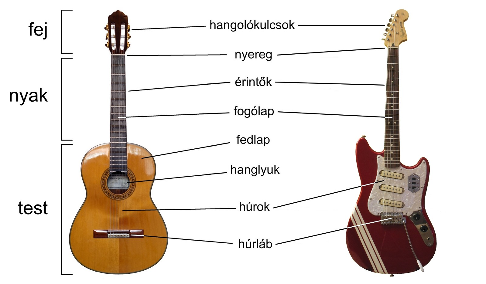 Gitár felépítése ábra