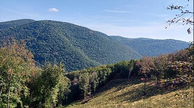 Felsőtárkányi erdészethez tartozó erdőterületek tájképe