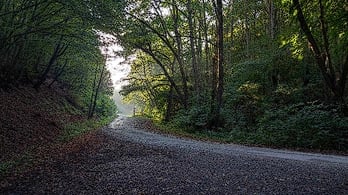 Felsőtárkány közelében lévő erdészházhoz vezető út, reggel
