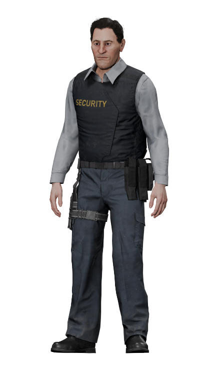 Image of a Security Guard