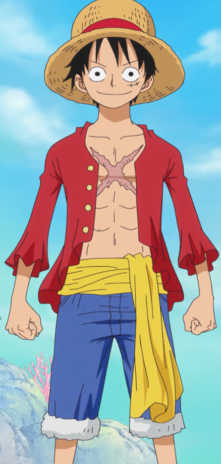 Monkey D. Luffy portréja