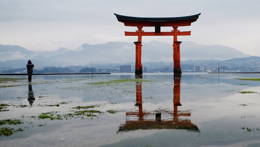 Torii kapu