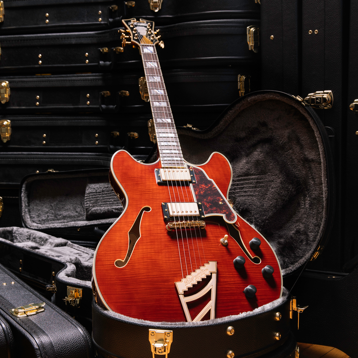 D'angelico Excel DC