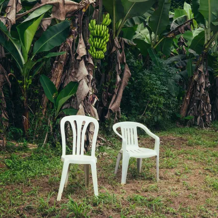 Bad Bunny - DeBÍ TiRAR MáS FOToS album borítója