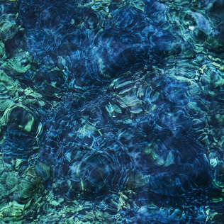 Ichiko Aoba - Luminescent Creatures album borítója