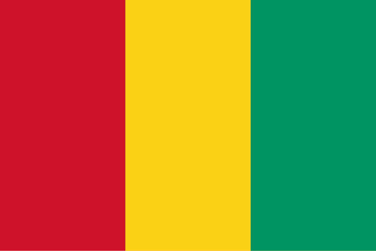 Guinea zászlaja