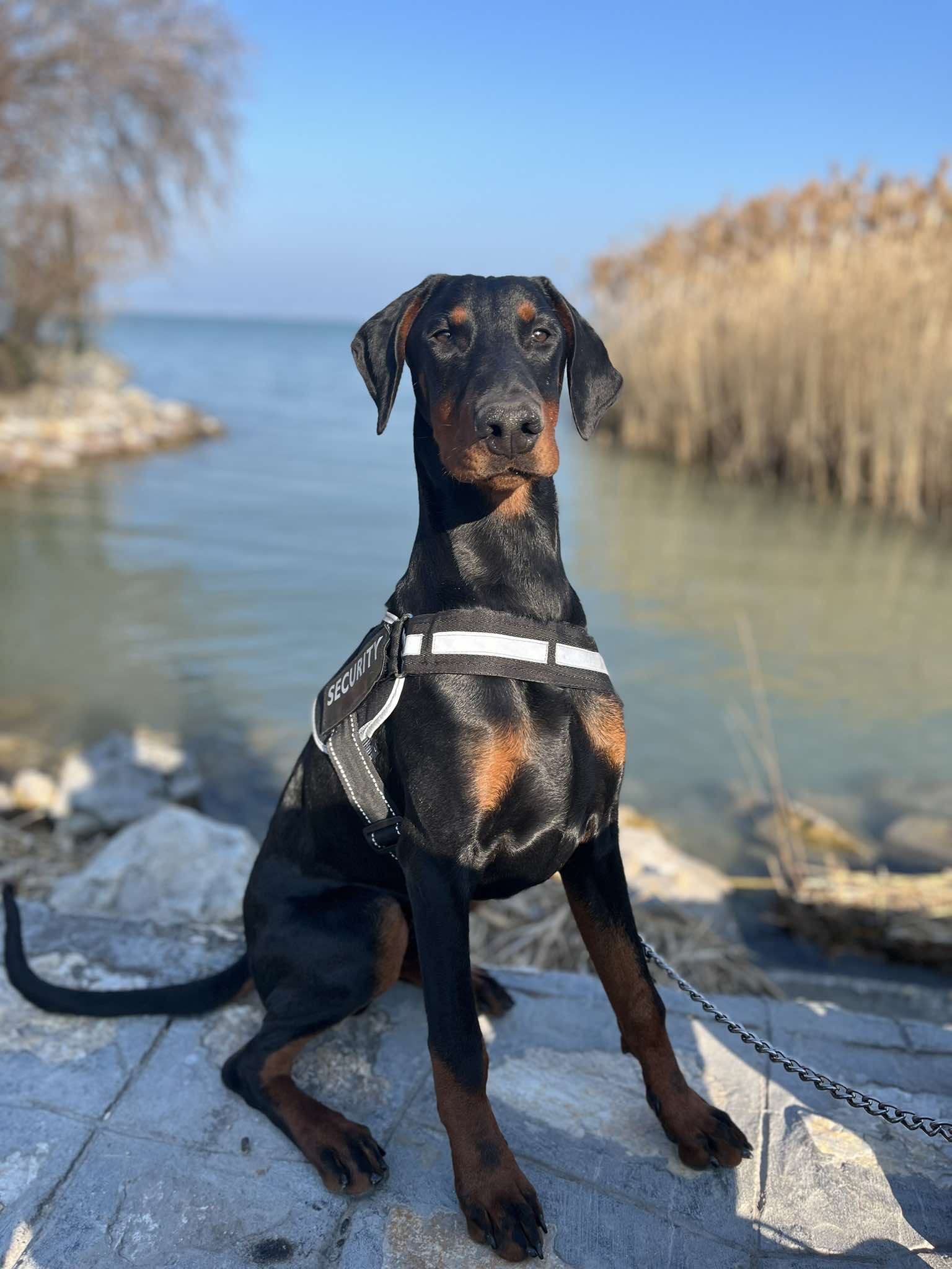 Loni kolyke kep
