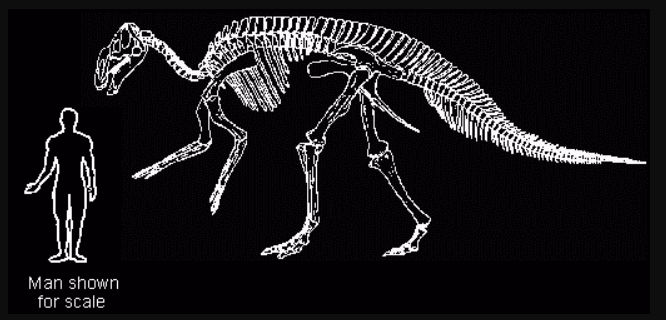 hadrosaurus