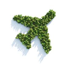 A plane shaped out of trees