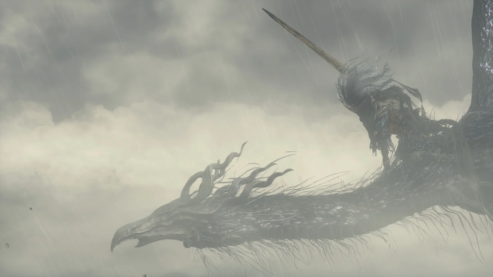 Picture of the King of the Storm