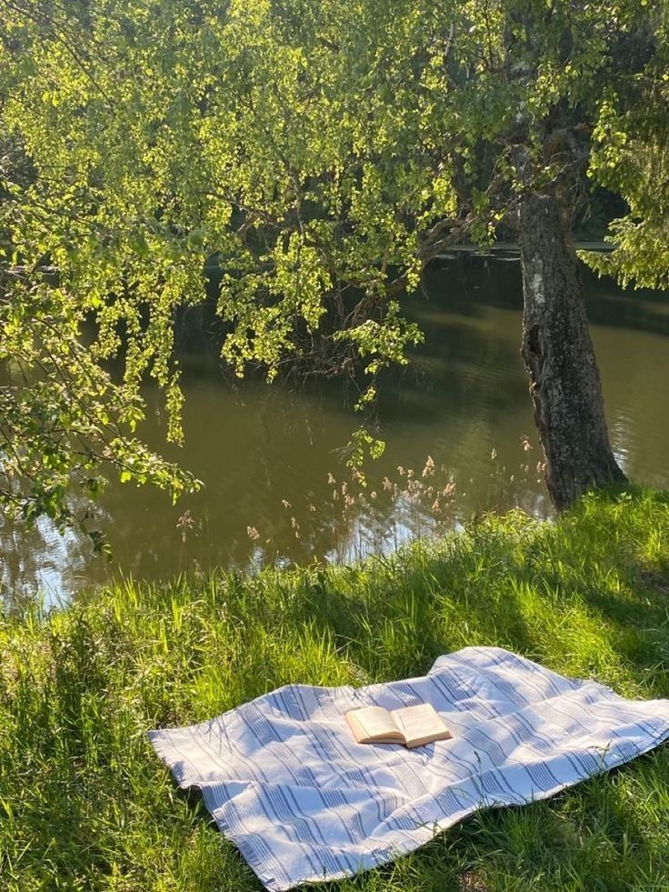 Napfényes piknikező hely egy tó partján, zöld fűvel és egy árnyékot adó fával. A kockás pokrócon egy nyitott könyv hever.