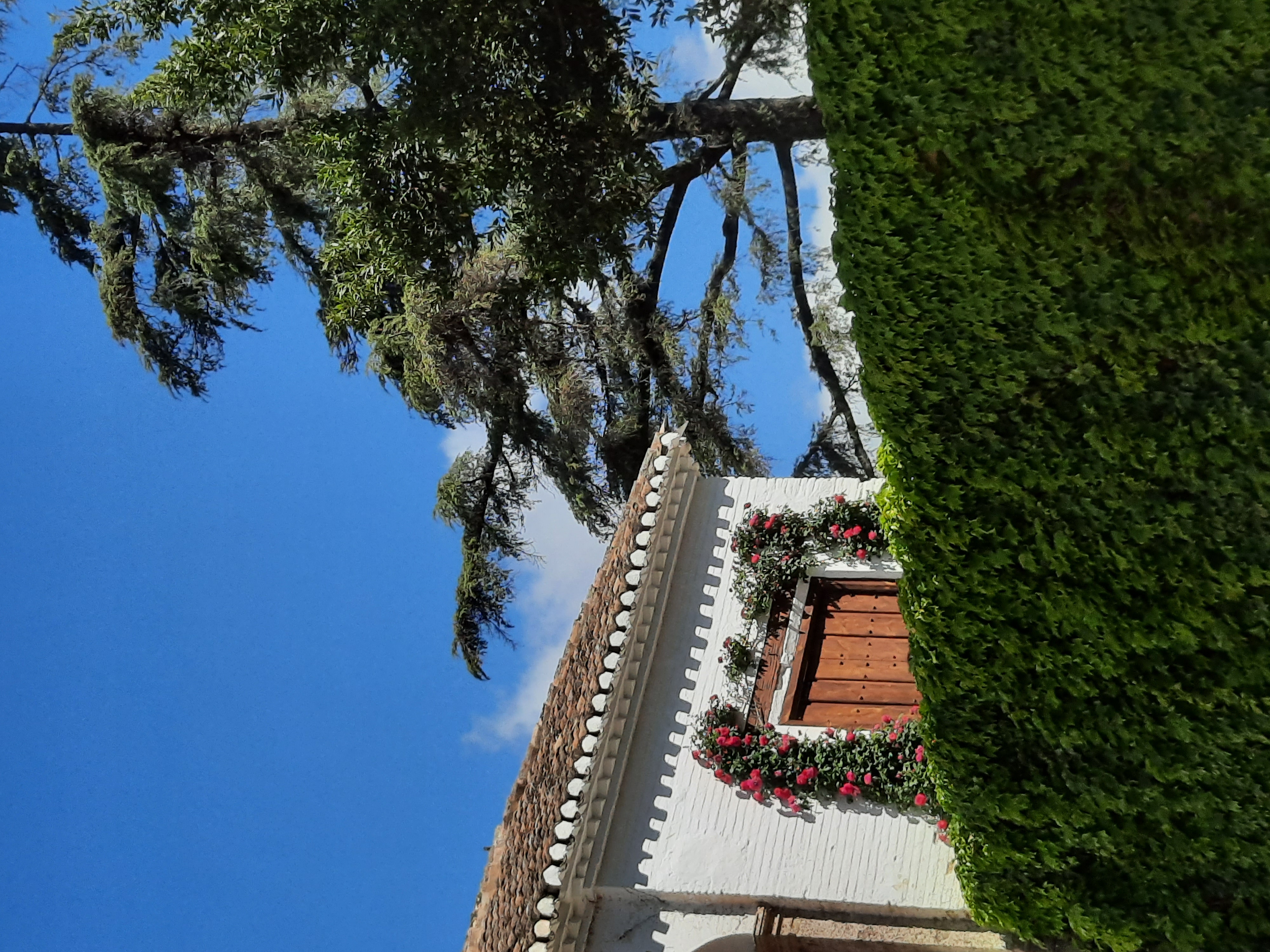 2022 Granada Spain
