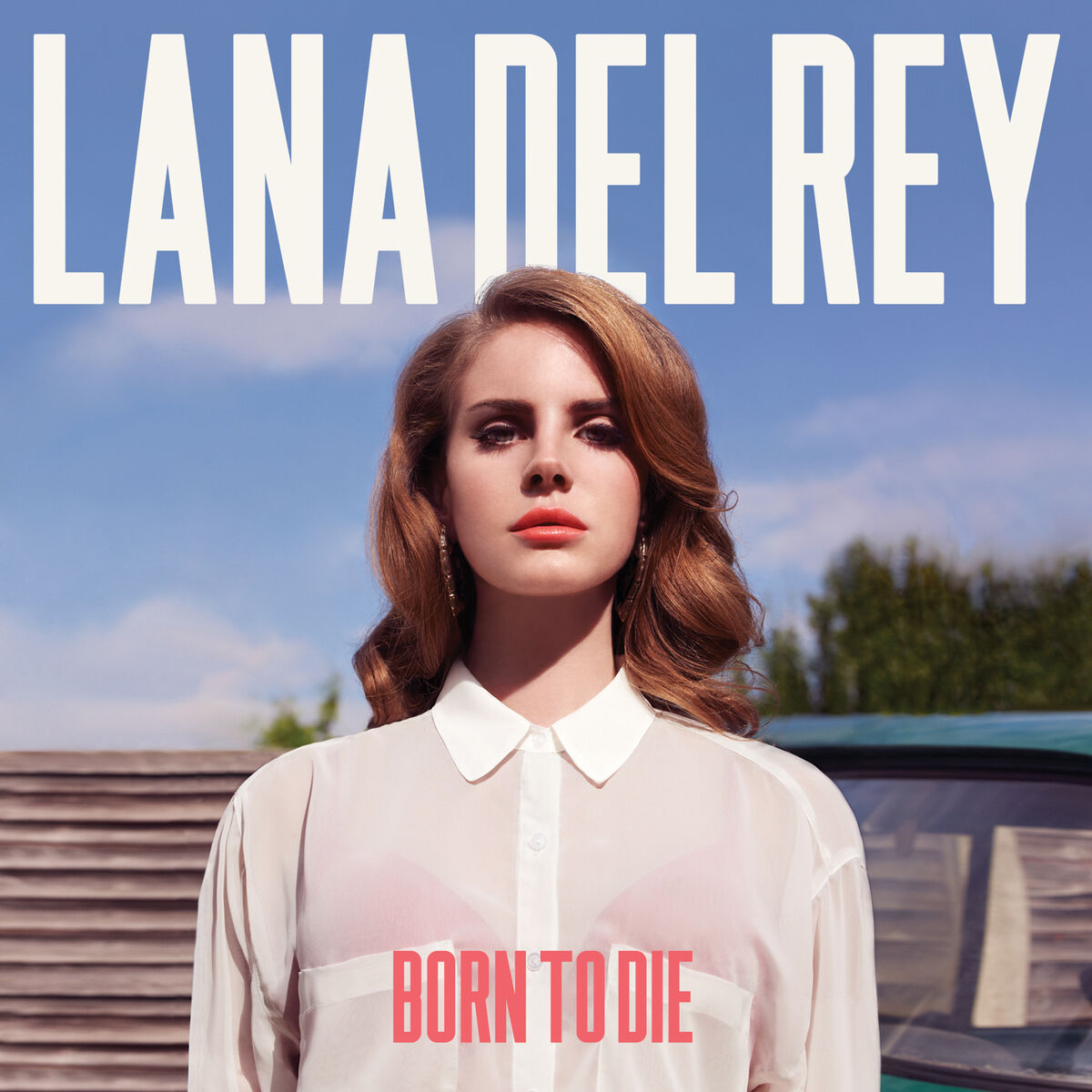 A Born to Die albumborítója