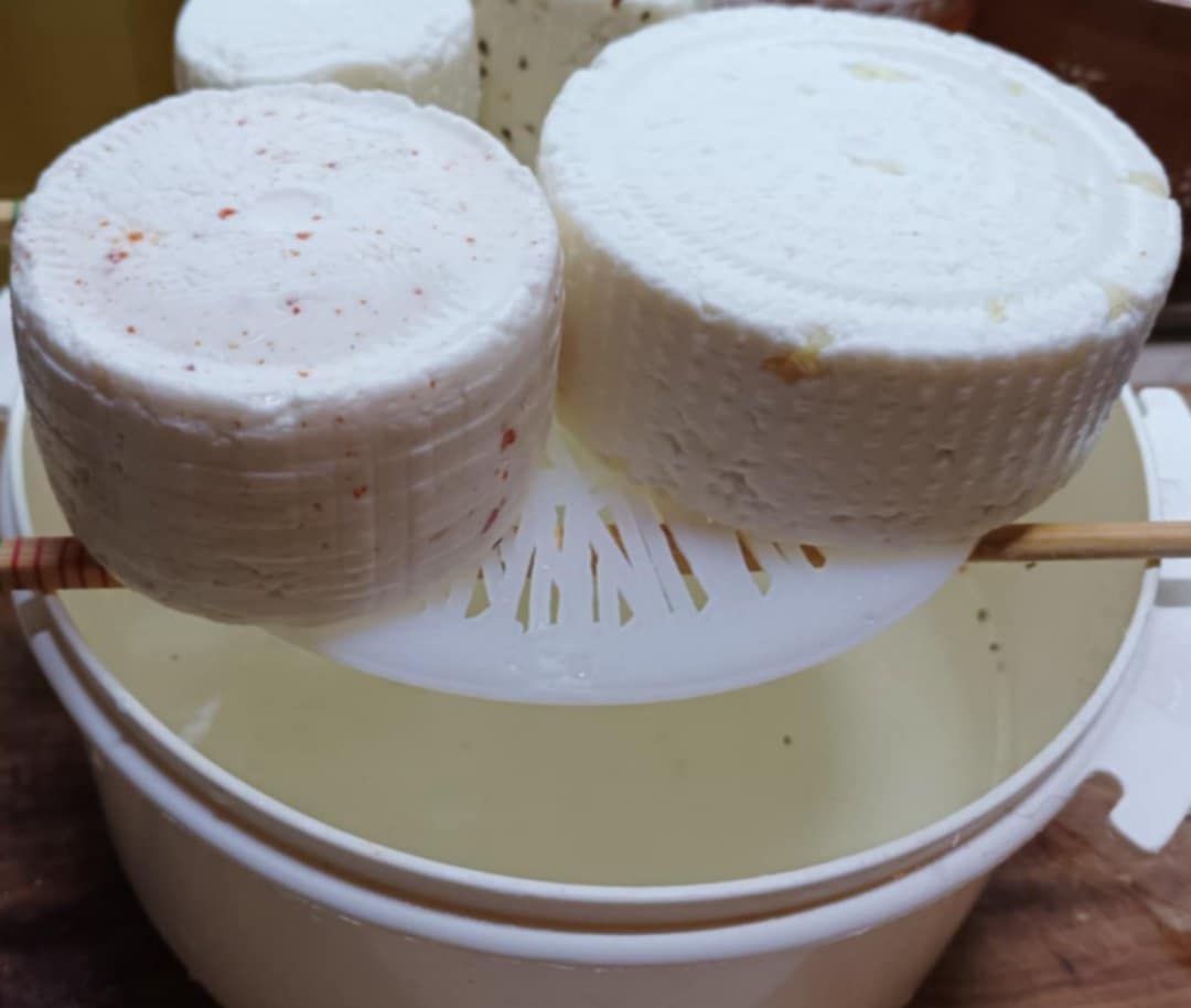 Gomolya sajt látható a képen