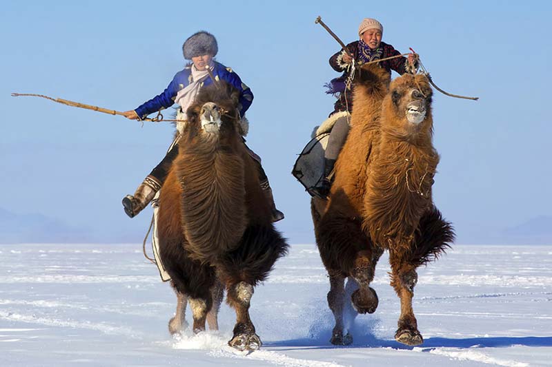 Bactrian 3