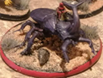 scarab beatle