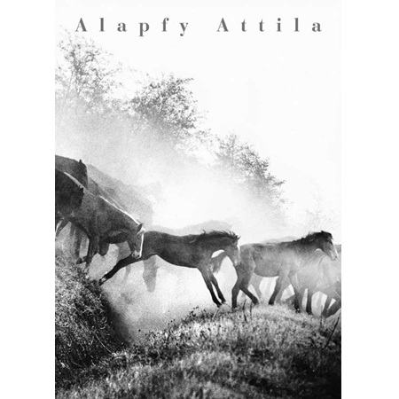 Alapfy Attila fotóművész fotóalbuma